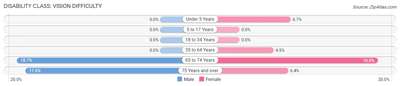 Disability in Hamlin: <span>Vision Difficulty</span>