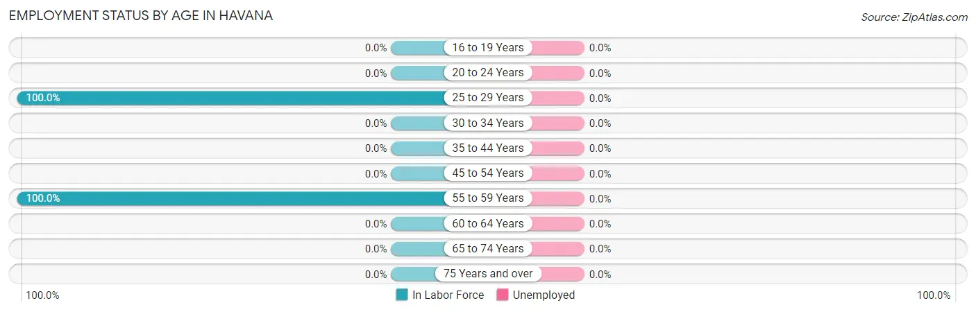 Employment Status by Age in Havana