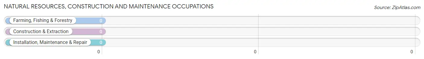 Natural Resources, Construction and Maintenance Occupations in Havana