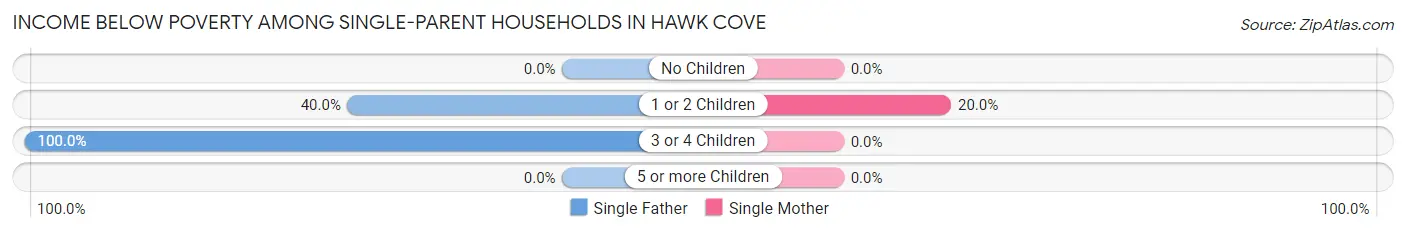 Income Below Poverty Among Single-Parent Households in Hawk Cove