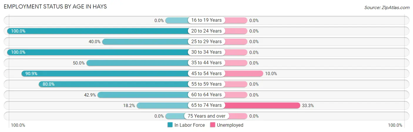 Employment Status by Age in Hays