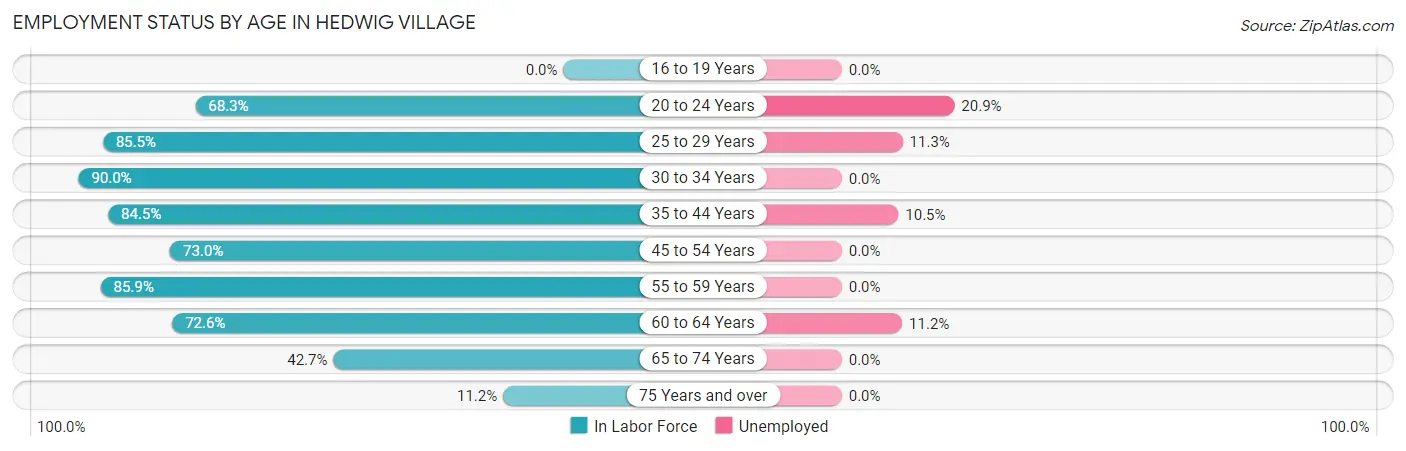 Employment Status by Age in Hedwig Village