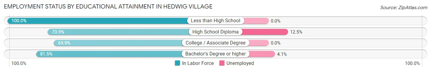 Employment Status by Educational Attainment in Hedwig Village