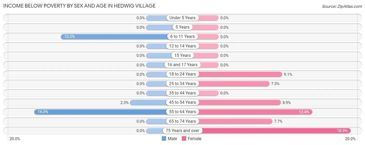 Income Below Poverty by Sex and Age in Hedwig Village