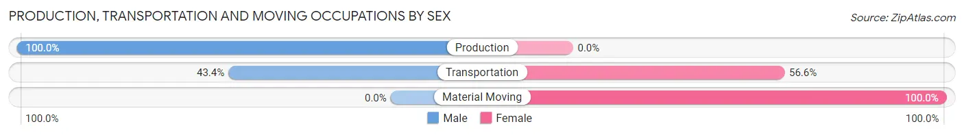 Production, Transportation and Moving Occupations by Sex in Hedwig Village