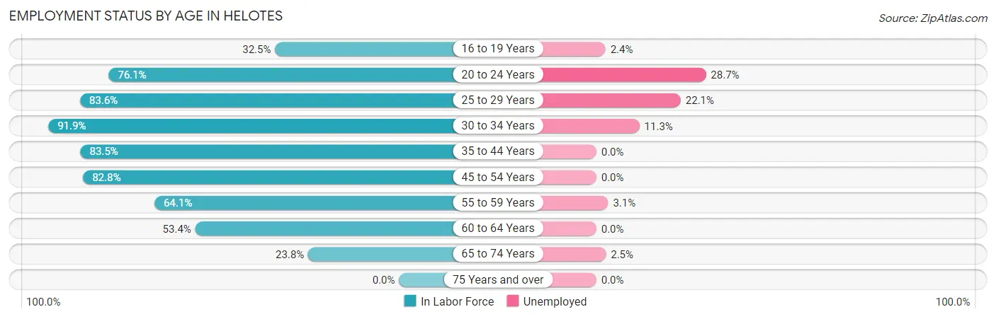 Employment Status by Age in Helotes