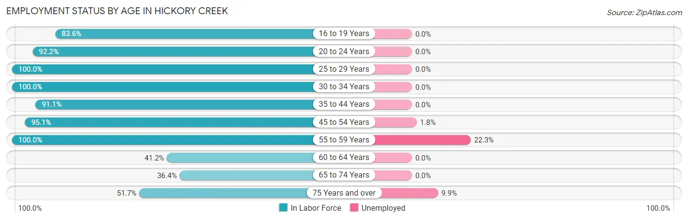 Employment Status by Age in Hickory Creek
