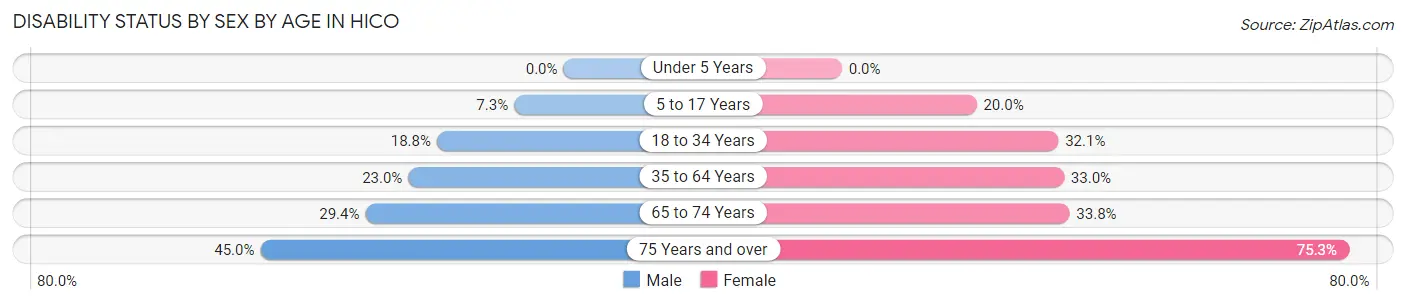 Disability Status by Sex by Age in Hico
