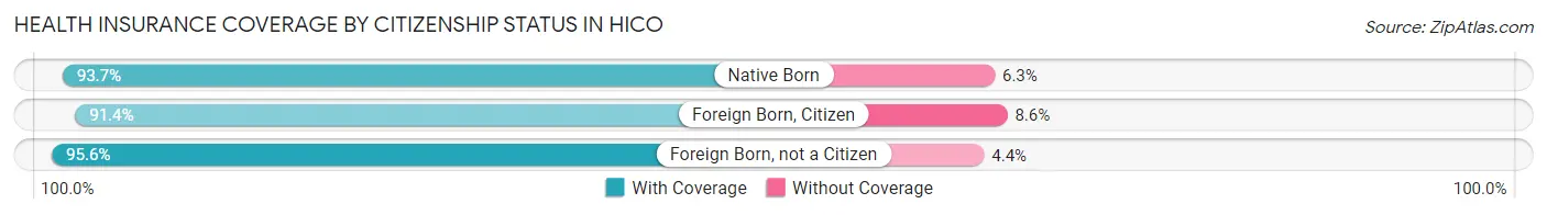 Health Insurance Coverage by Citizenship Status in Hico