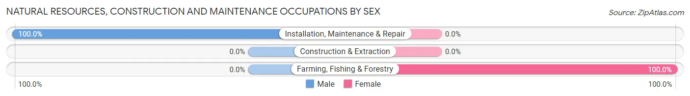 Natural Resources, Construction and Maintenance Occupations by Sex in Hideaway