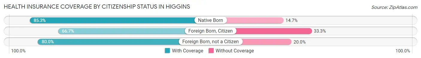 Health Insurance Coverage by Citizenship Status in Higgins