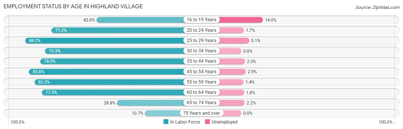 Employment Status by Age in Highland Village