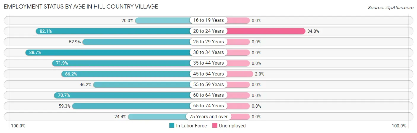 Employment Status by Age in Hill Country Village