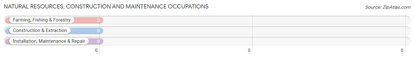 Natural Resources, Construction and Maintenance Occupations in Holiday Beach