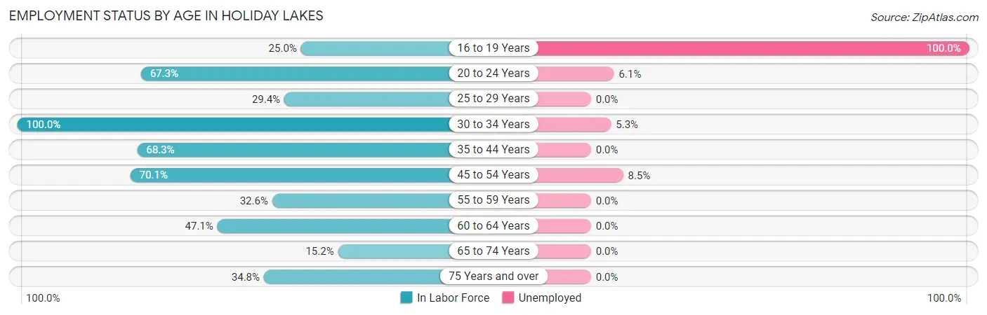 Employment Status by Age in Holiday Lakes