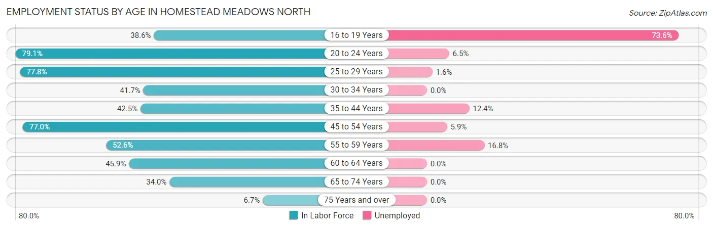 Employment Status by Age in Homestead Meadows North
