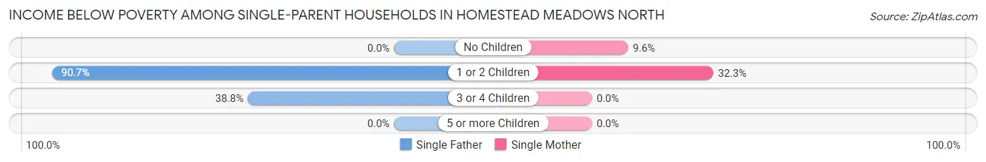 Income Below Poverty Among Single-Parent Households in Homestead Meadows North