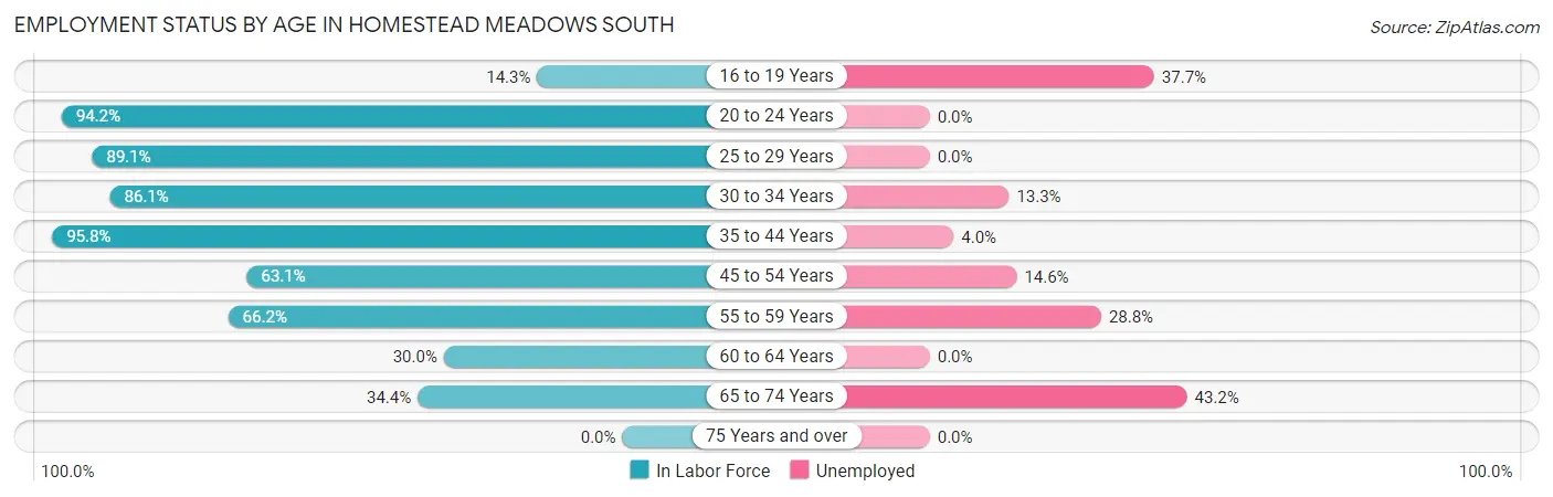 Employment Status by Age in Homestead Meadows South