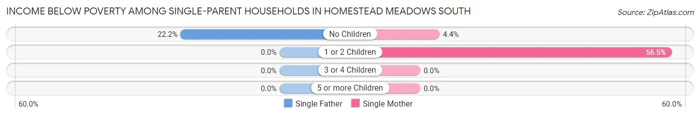 Income Below Poverty Among Single-Parent Households in Homestead Meadows South