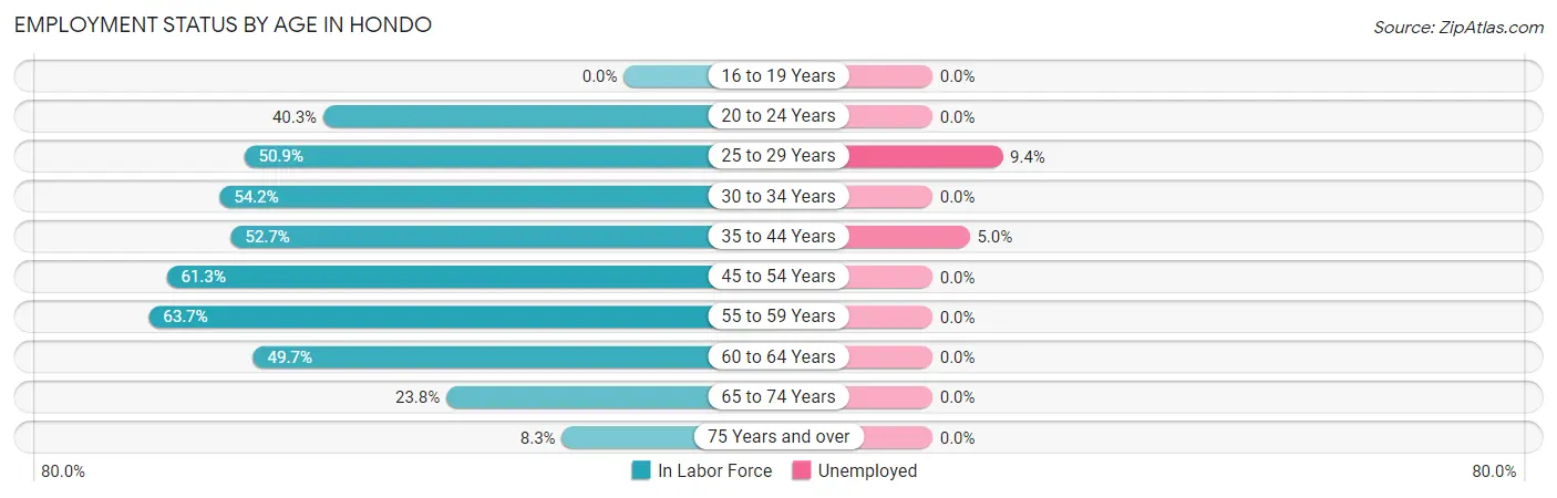 Employment Status by Age in Hondo