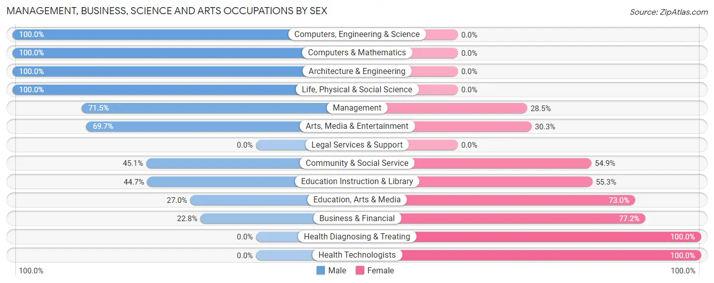 Management, Business, Science and Arts Occupations by Sex in Hondo