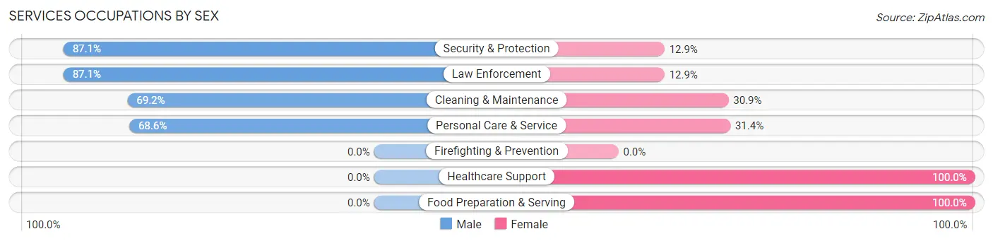 Services Occupations by Sex in Hondo