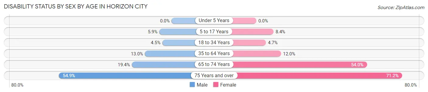 Disability Status by Sex by Age in Horizon City