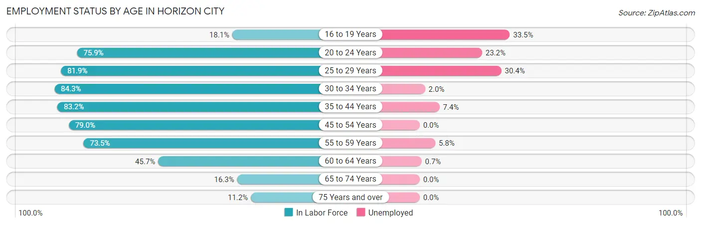Employment Status by Age in Horizon City