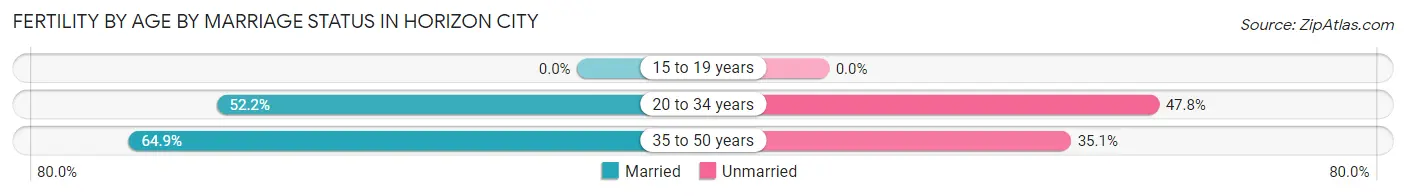 Female Fertility by Age by Marriage Status in Horizon City