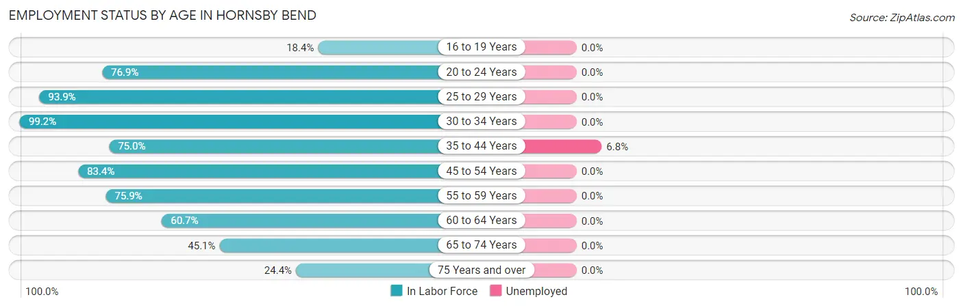 Employment Status by Age in Hornsby Bend