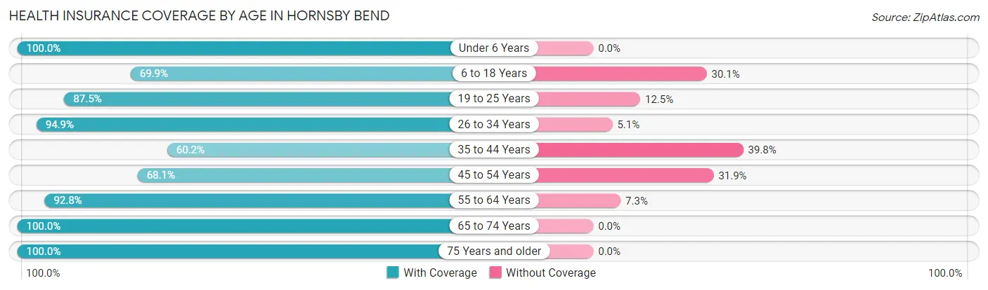 Health Insurance Coverage by Age in Hornsby Bend