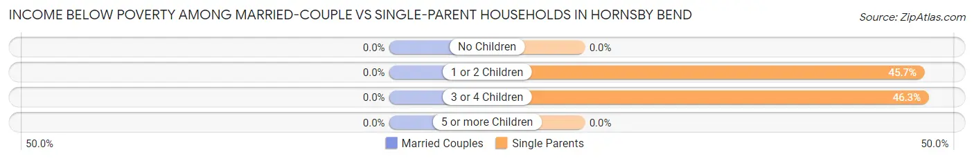 Income Below Poverty Among Married-Couple vs Single-Parent Households in Hornsby Bend