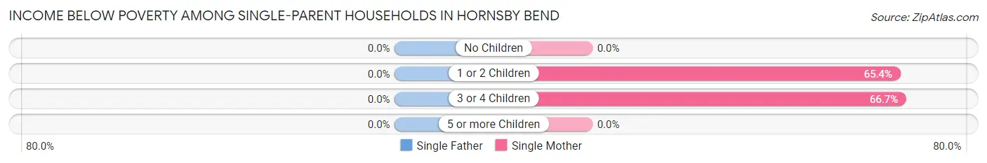 Income Below Poverty Among Single-Parent Households in Hornsby Bend