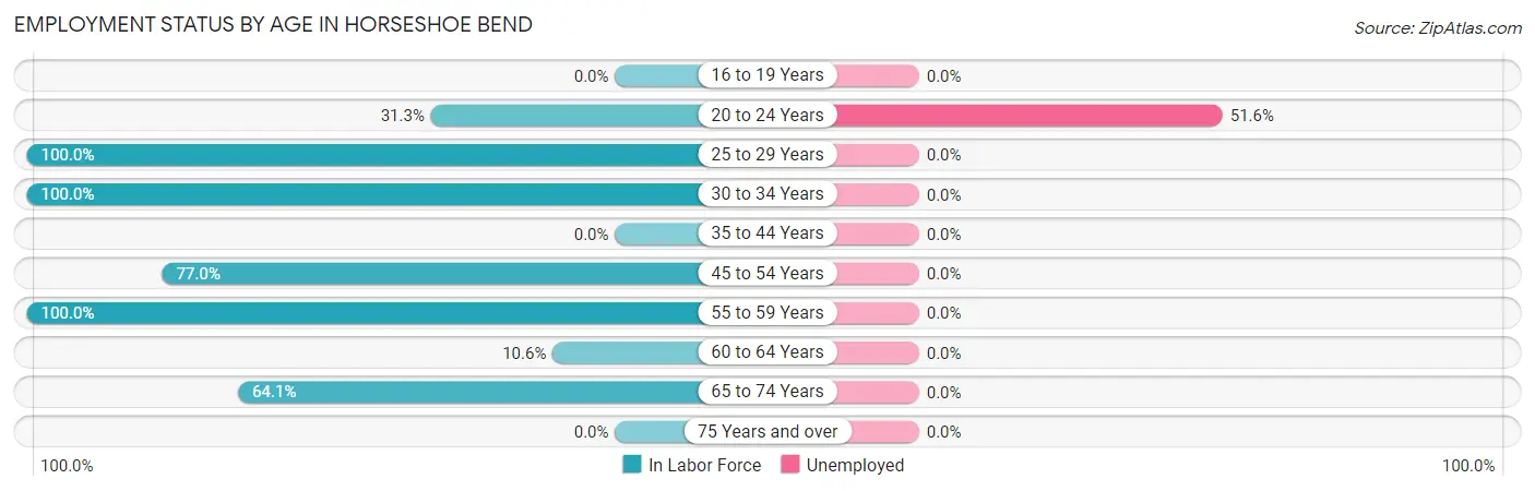 Employment Status by Age in Horseshoe Bend