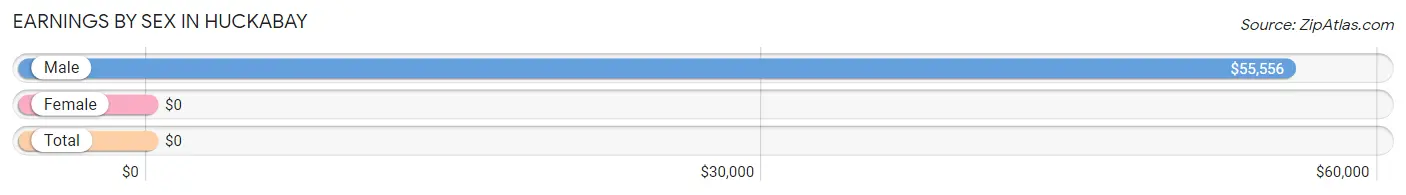 Earnings by Sex in Huckabay