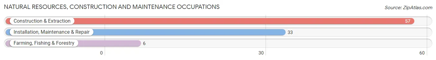 Natural Resources, Construction and Maintenance Occupations in Hudson Oaks