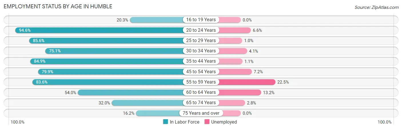 Employment Status by Age in Humble