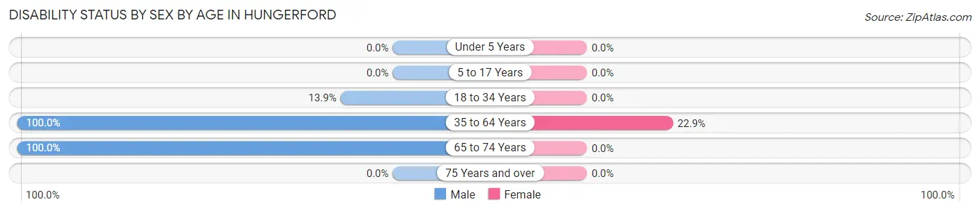 Disability Status by Sex by Age in Hungerford