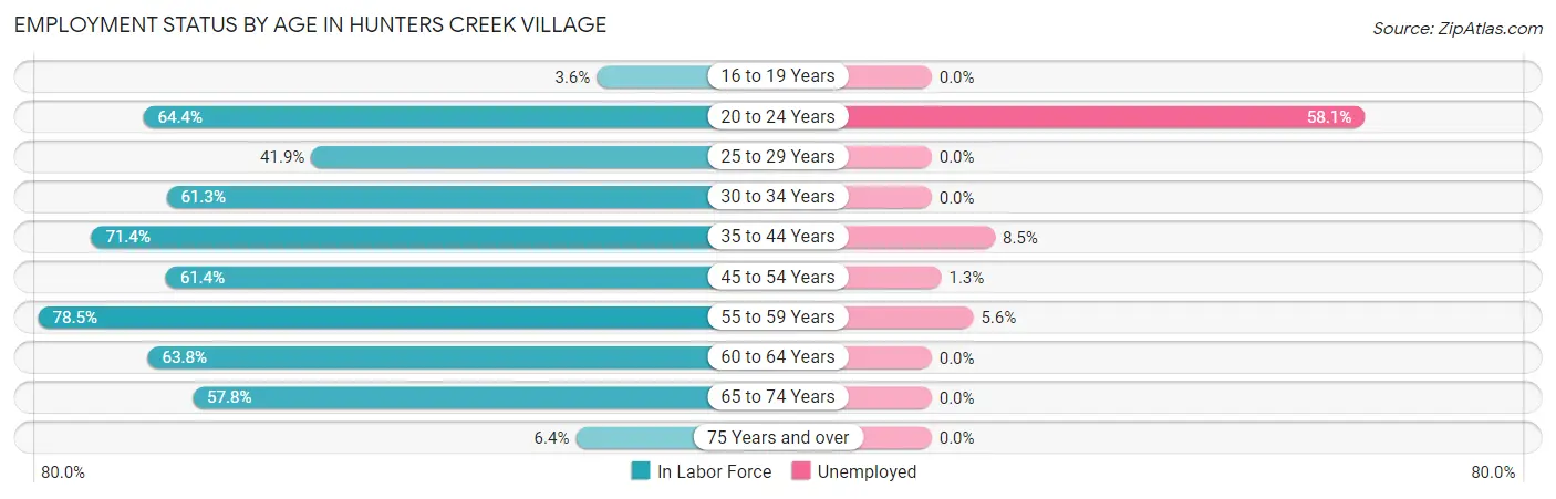 Employment Status by Age in Hunters Creek Village