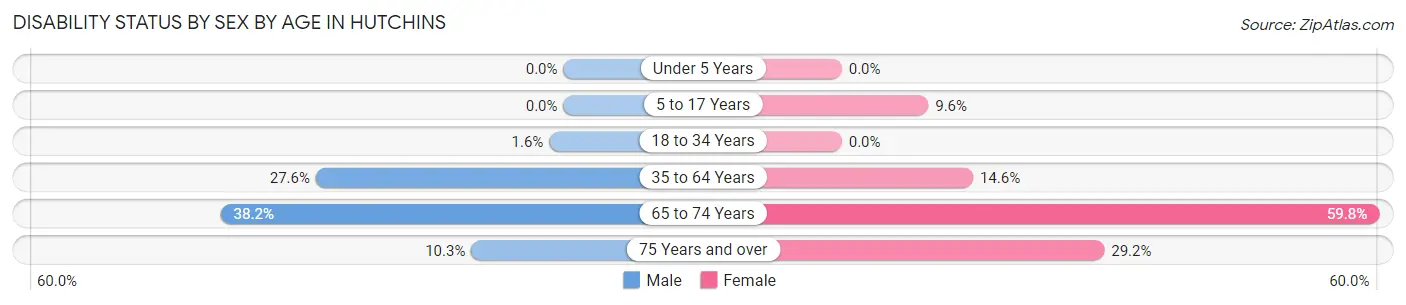 Disability Status by Sex by Age in Hutchins