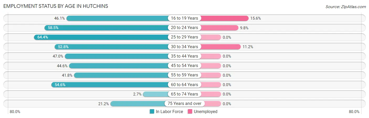Employment Status by Age in Hutchins
