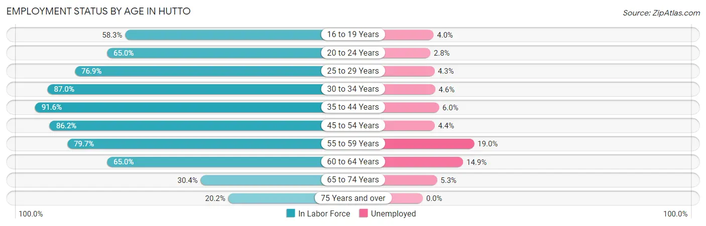 Employment Status by Age in Hutto