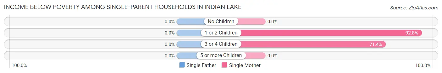Income Below Poverty Among Single-Parent Households in Indian Lake