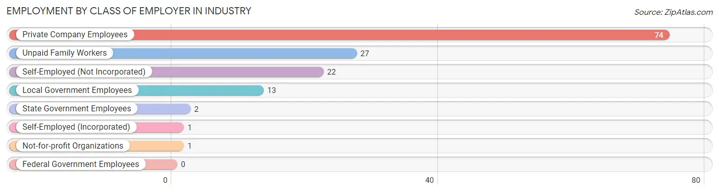 Employment by Class of Employer in Industry