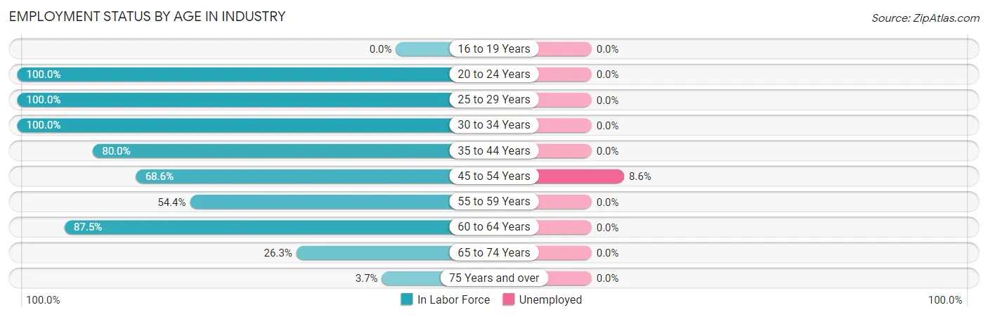 Employment Status by Age in Industry
