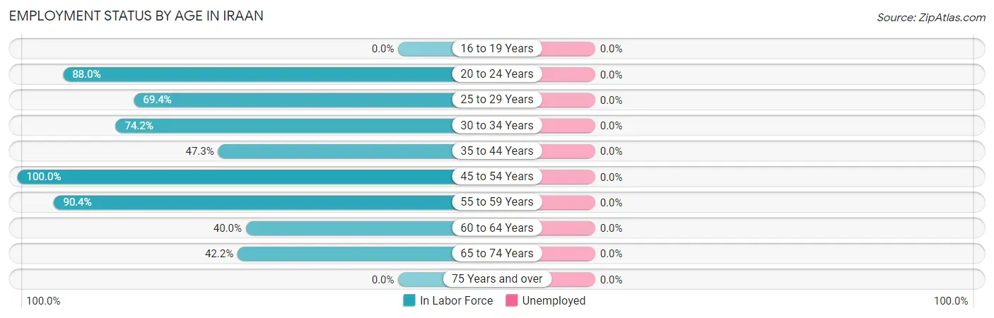 Employment Status by Age in Iraan
