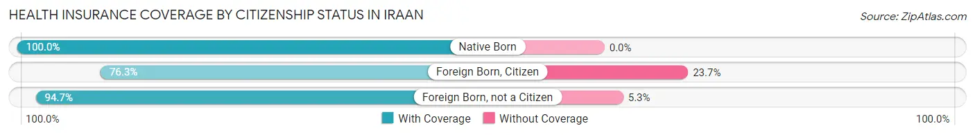 Health Insurance Coverage by Citizenship Status in Iraan