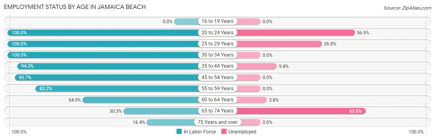 Employment Status by Age in Jamaica Beach