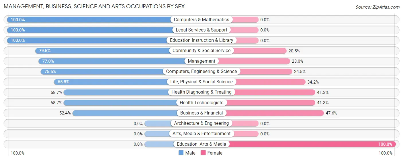 Management, Business, Science and Arts Occupations by Sex in Jamaica Beach