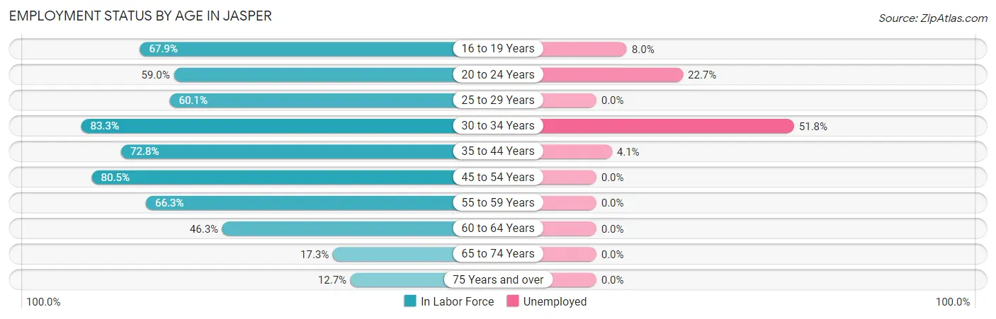 Employment Status by Age in Jasper